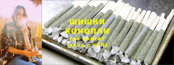 PSILOCYBIN Гусев