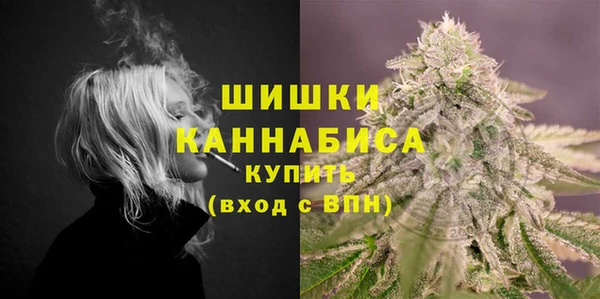 PSILOCYBIN Гусев