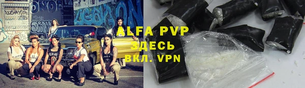 стаф Дмитров