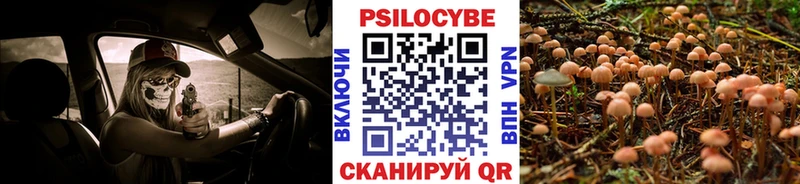 Купить закладки  Новосиль  Псилоцибиновые грибы GOLDEN TEACHER 